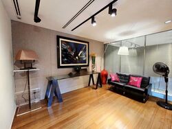 Newton Suites (D11), Apartment #480757231